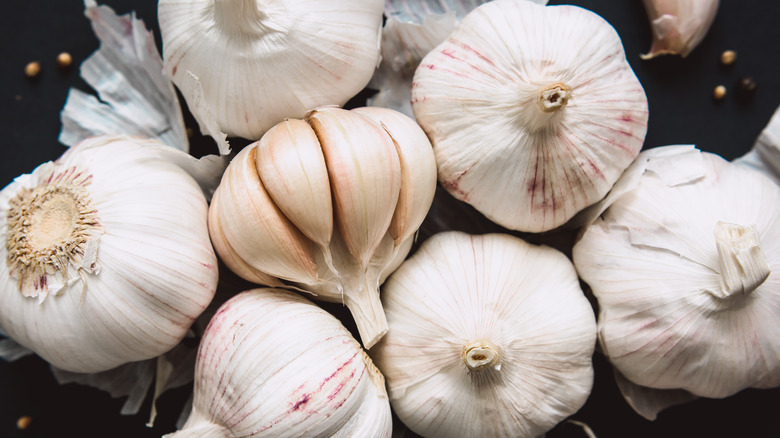Bulbs of garlic 