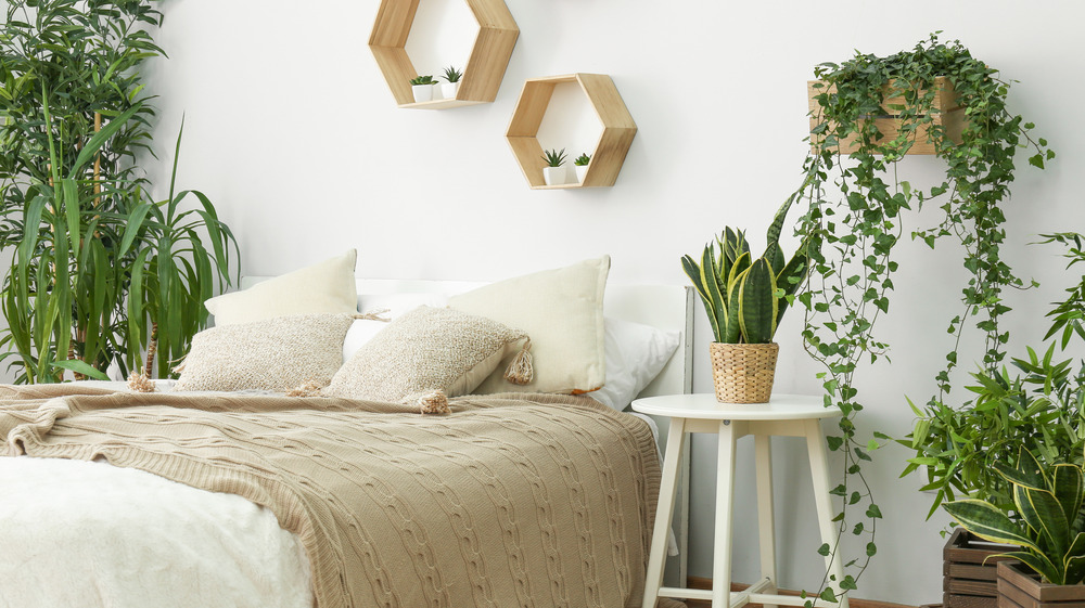 Neutral-colored bedroom with several plants. 