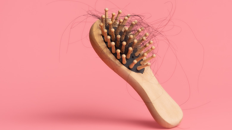 Tan brush with brown hair