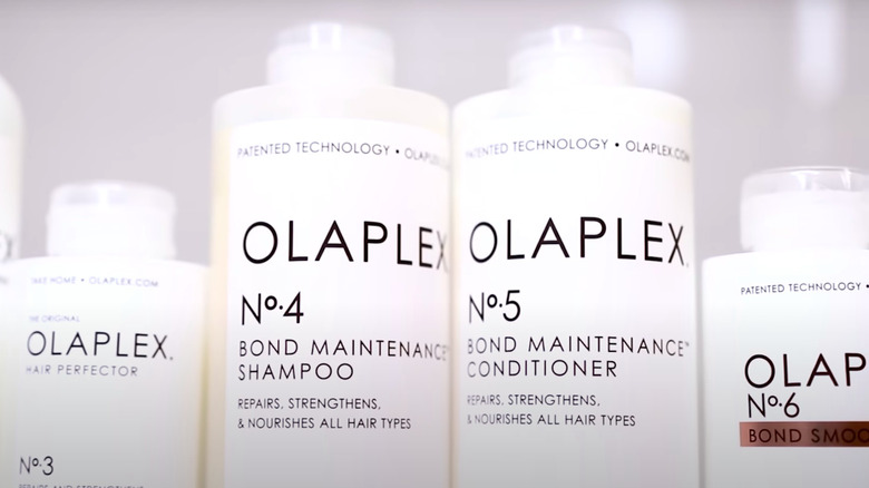 Olaplex products lined up