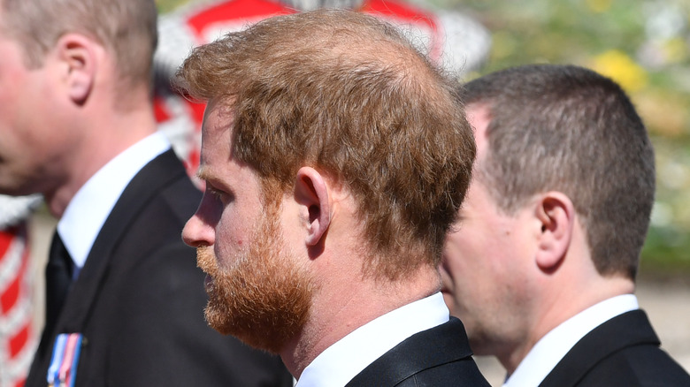 prince harry hair
