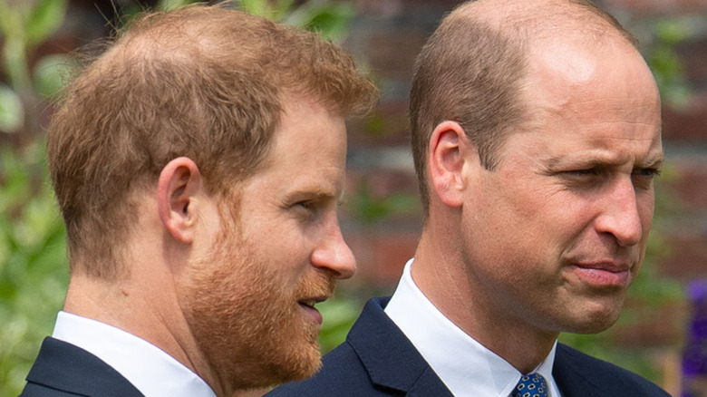 Princes William and Harry at Diana memorial