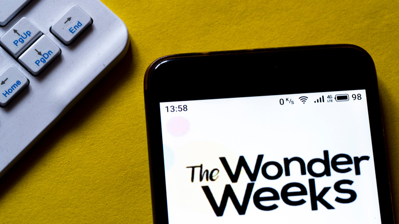 Close-up of phone using Wonder Weeks
