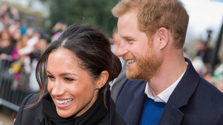 Harry and Meghan Markle greet fans in Cardiff