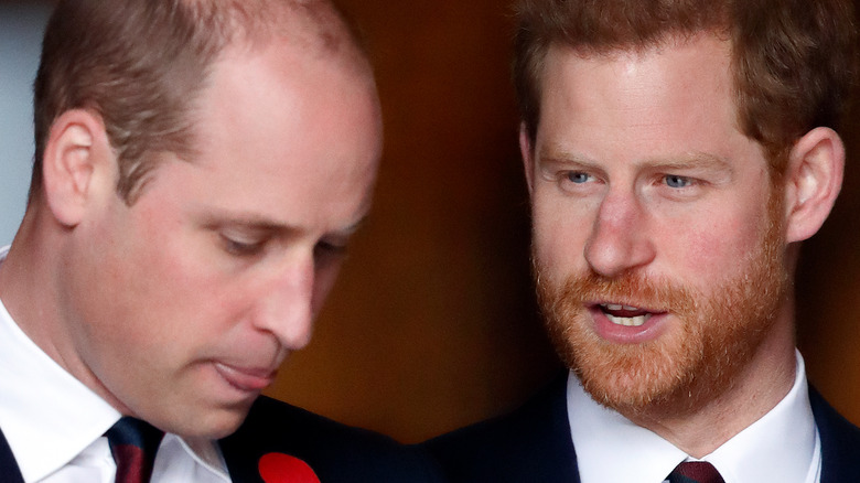 Prince William and Prince Harry at an event.