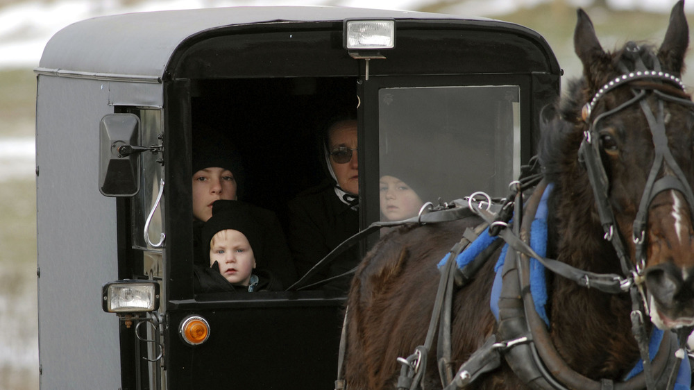 Amish family in a horse drawn cart