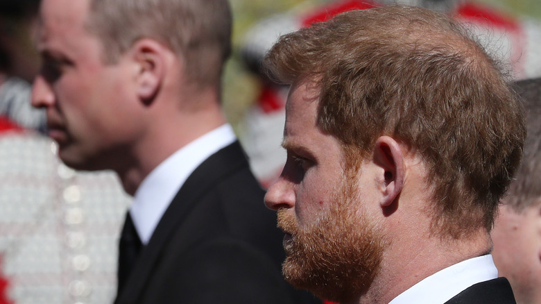 Prince William and Harry at Prince Philip's funeral