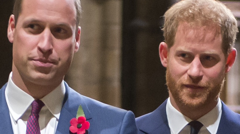 Princes William and Harry at event