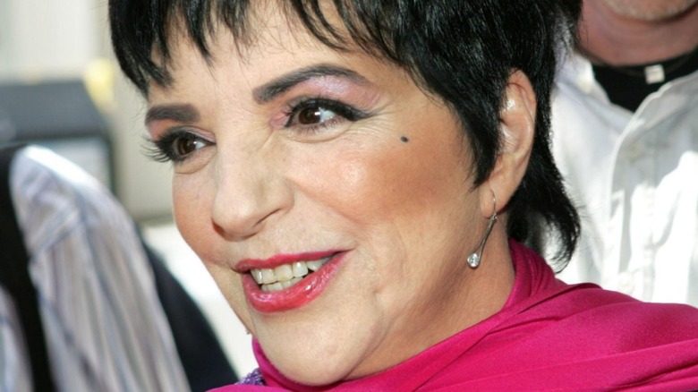 Liza Minnelli posing on the red carpet