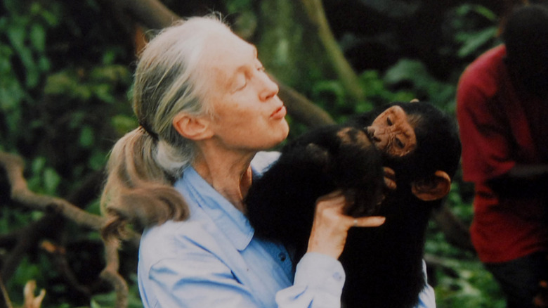 Jane Goodall with a chimp in her arms