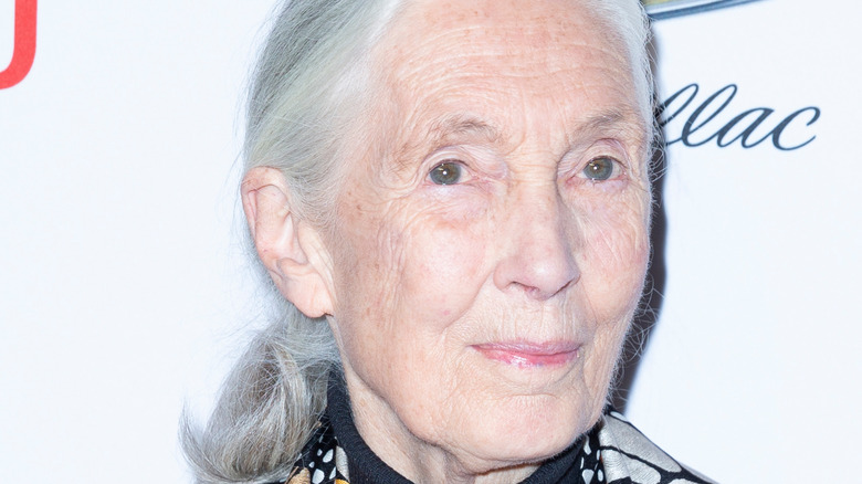 Jane Goodall