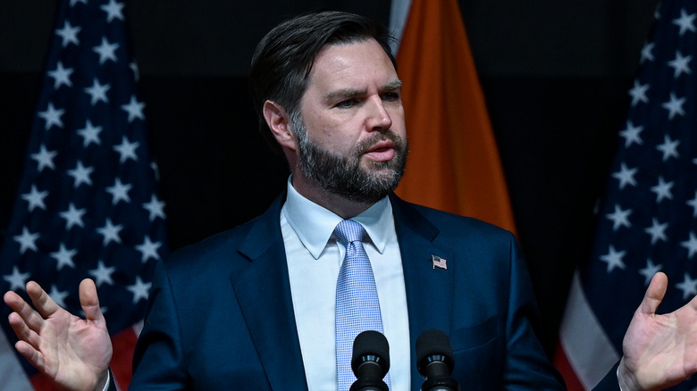 Vice President JD Vance at the Rajasthan International Center