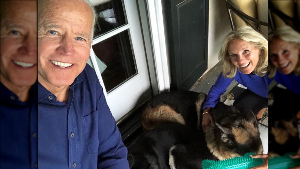 Bidens' with dogs