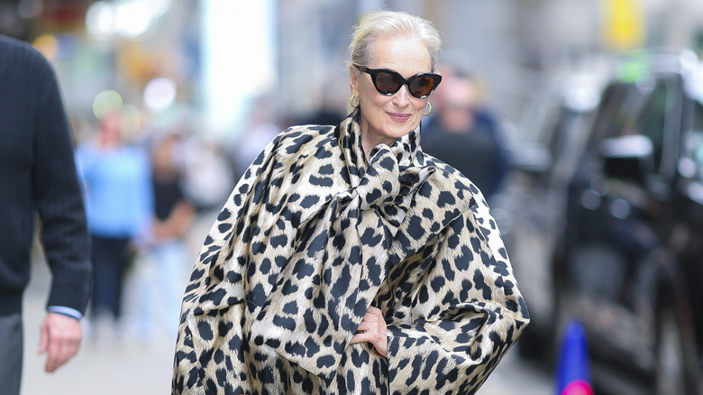 Meryl Streep places a cheeky hand on her hip in cat eye sunglasses and a billowing leopard print top