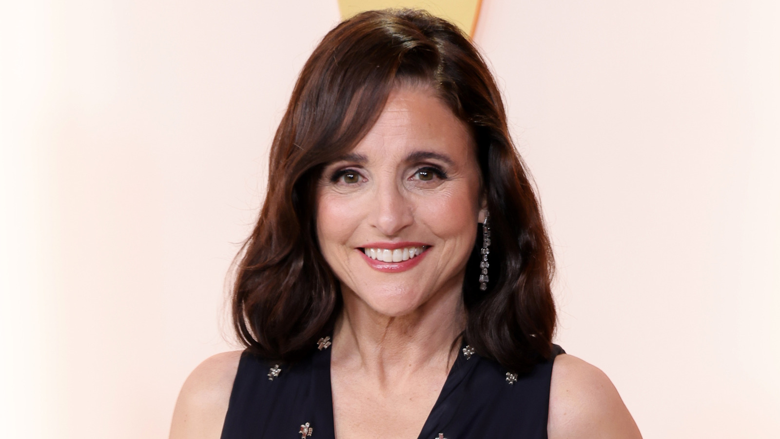 Julia Louis-Dreyfus gibt zu, dass sie die Mutter ihrer Hollywood-Söhne ist