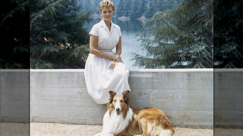 June Lockhart sitting on wall with Lassie
