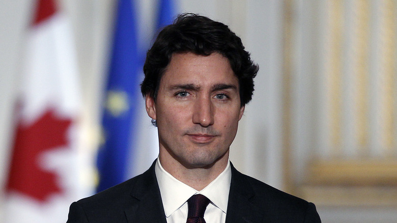 A portrait of Justin Trudeau in 2015.