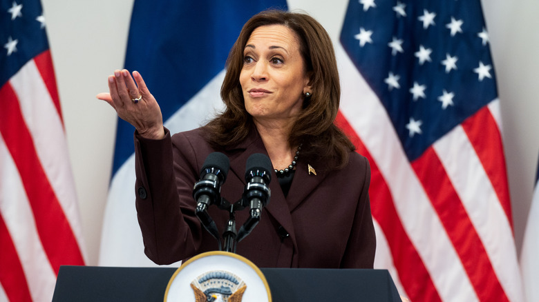 Kamala Harris in Paris November 2021