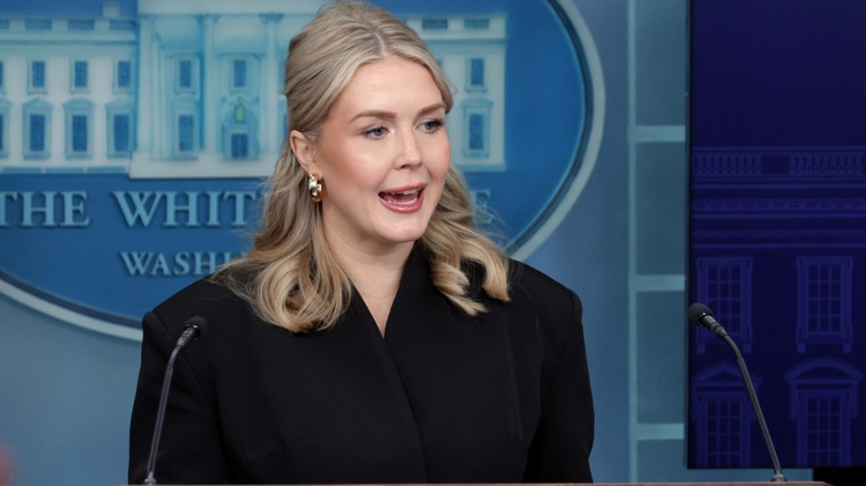 Karoline Leavitt answers questions during a press briefing in Washington, DC (2025)