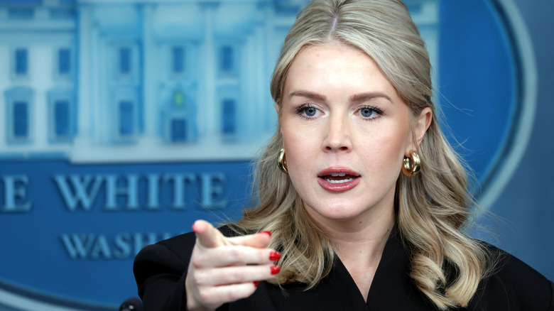 White House Press Secretary Karoline Leavitt answers questions during a press briefing at the White House on December 11, 2025 in Washington, DC.