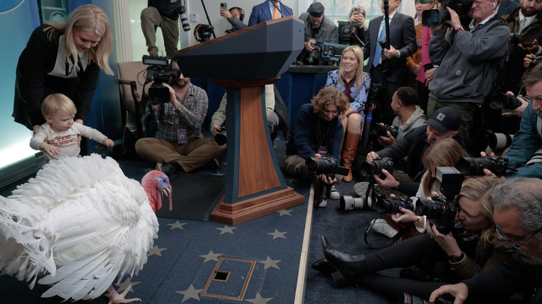 Karoline Leavitt with her son and a turkey in the press briefing room
