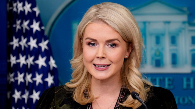 Karoline Leavitt speaks during a daily press briefing in the White House (2025)