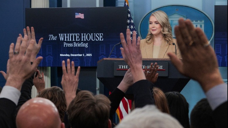 Karoline Leavitt addresses reporters during a new conference in the White House in Washington, DC (2025)