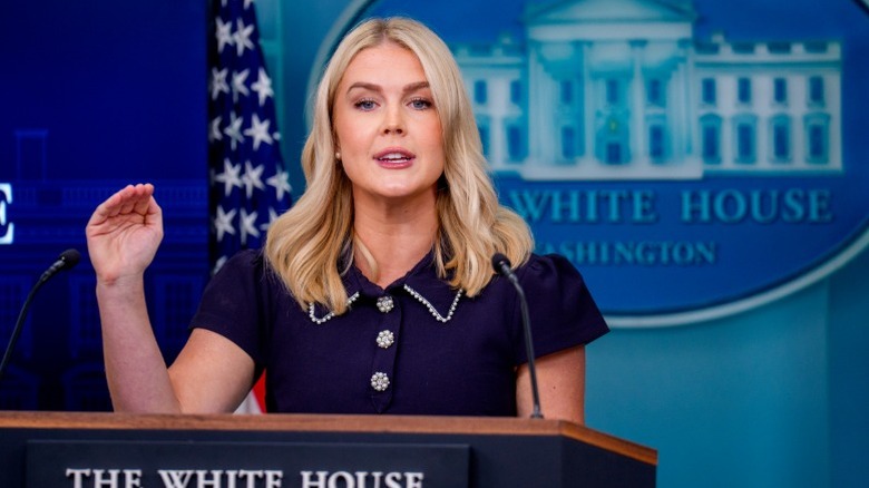 Karoline Leavitt speaks in a blue shirt with sparkling linings and buttons in the White House (2025)