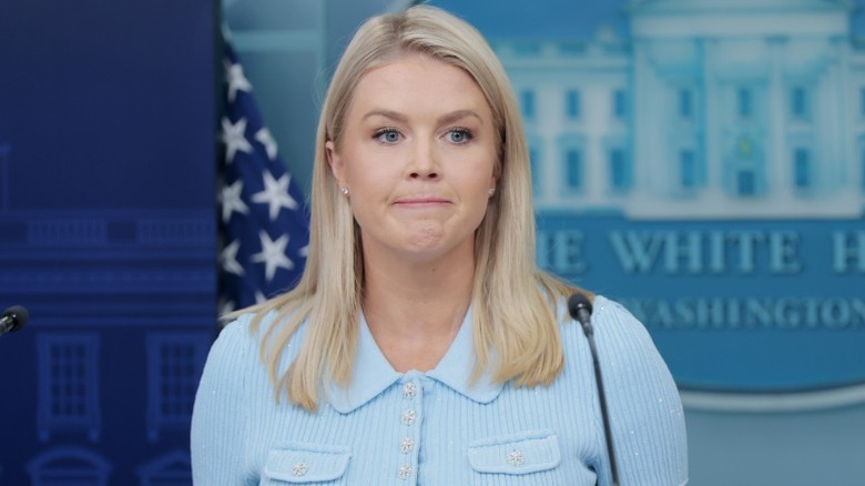 Karoline Leavitt during a press briefing in the Brady Press Briefing Room at the White House (2025)