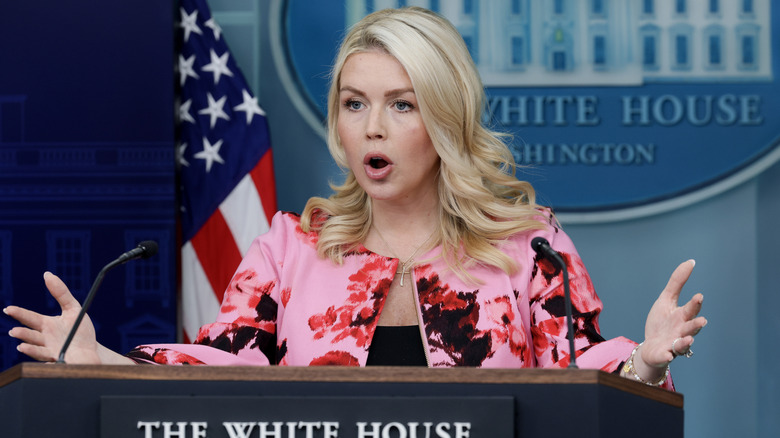 Karoline Leavitt gesturing while speaking at the White House press podium in a pink cardigan