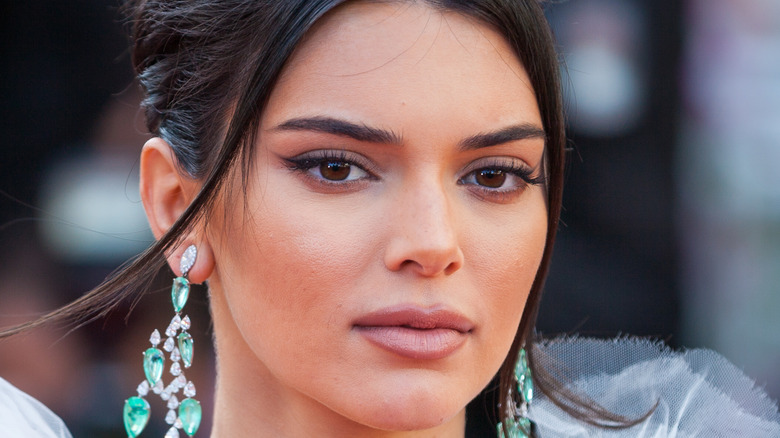 Kendall Jenner poses at the red carpet