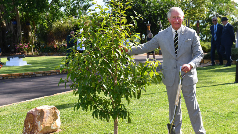 King Charles planting a tree at a reception in Australia