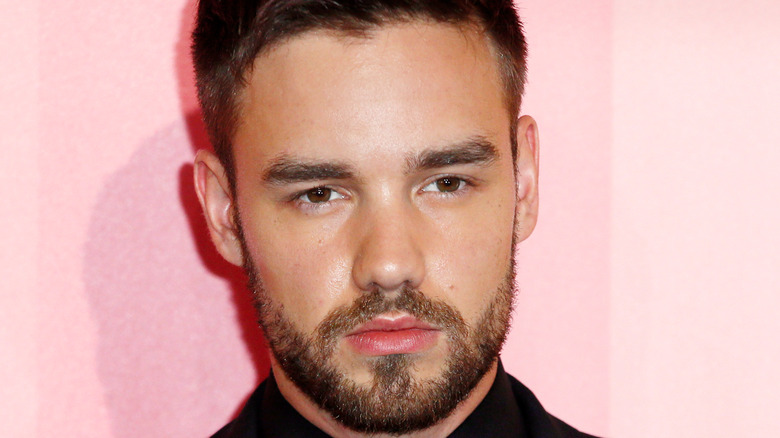 Liam Payne on the red carpet 