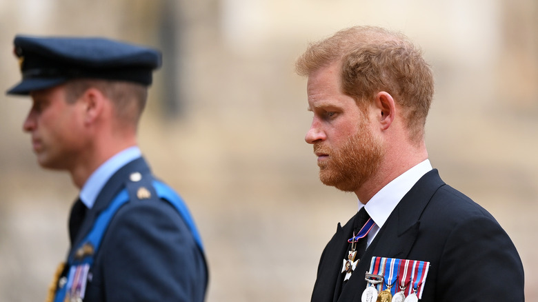 Prince William and Prince Harry at funeral  