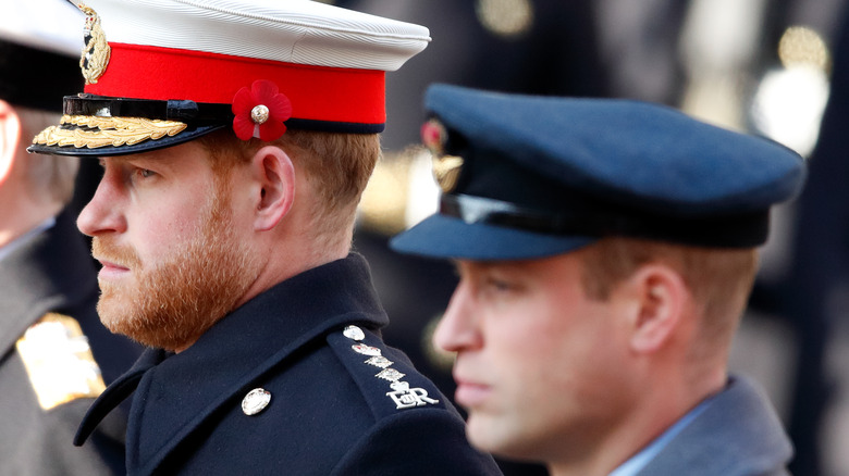 Prince Harry and Prince William at a royal event
