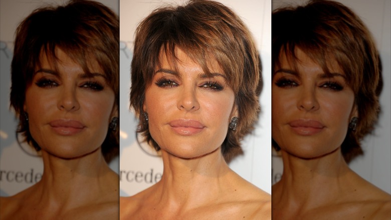 Lisa Rinna close-up in 2014