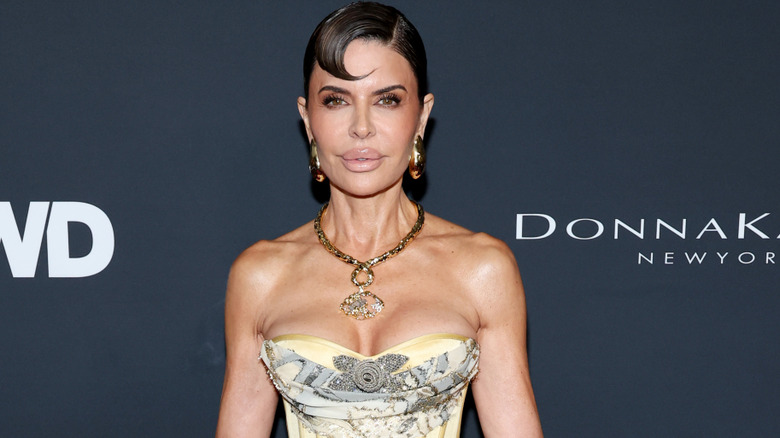 Lisa Rinna attends The 2026 WWD Style Awards presented by Women's Wear Daily at Regent Santa Monica Beach on January 09, 2026 in Santa Monica, California.