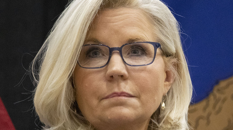 Liz Cheney smiling