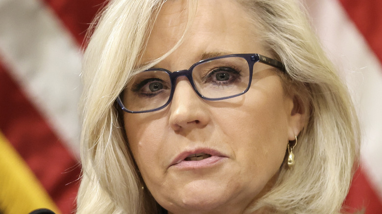 Liz Cheney January 6 commission hearing