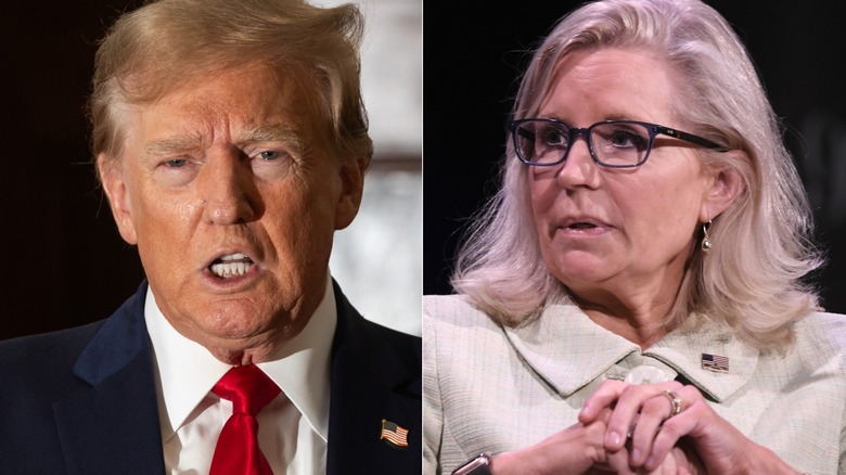 Left: Donald Trump speaking, Right: Liz Cheney speaking