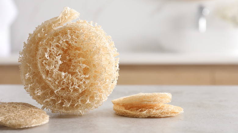 Image of loofah