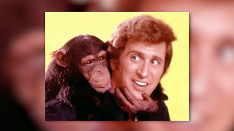 Ted Bessell and Buttons the chimp
