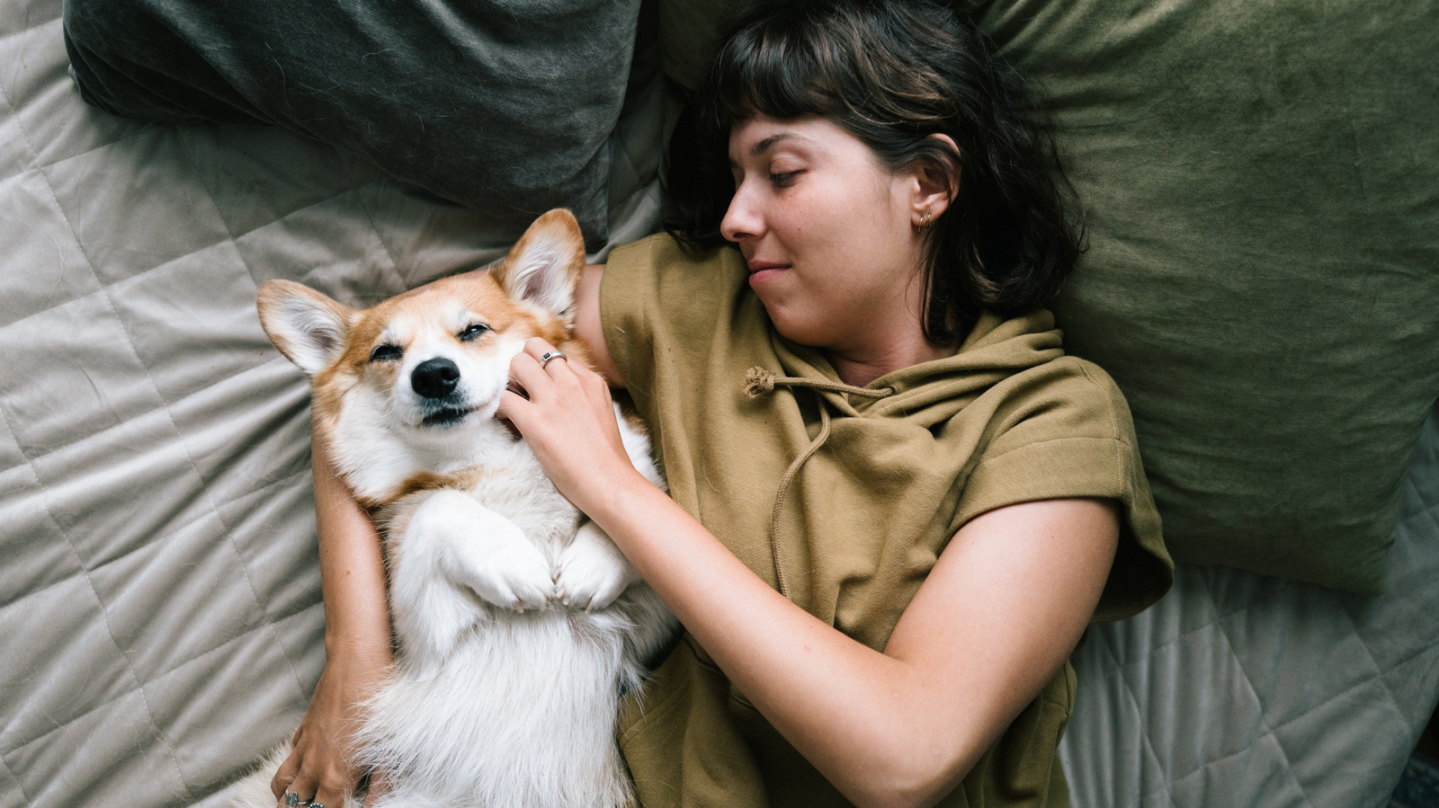 Love Letting Your Dog Sleep In Bed With You? Study Just Gave You The Ammo To Quiet The Critics