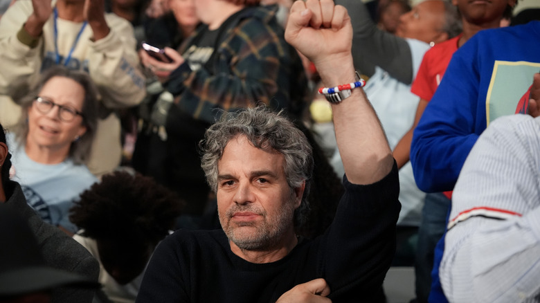Mark Ruffalo lifting his fist into the air at a protest