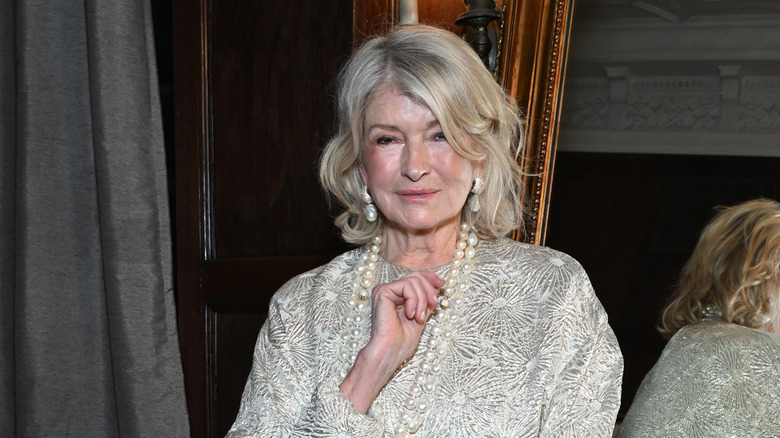 Martha Stewart smirks in front of a mirror