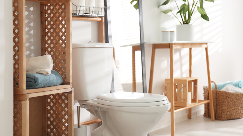 Toilet in organized bathroom