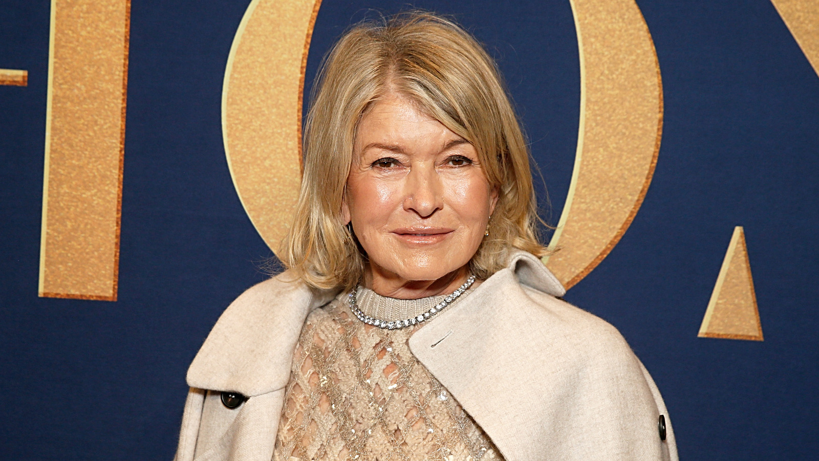 マーサ・スチュワートの元夫に関するドキュメンタリーコメントで現在の妻が激怒