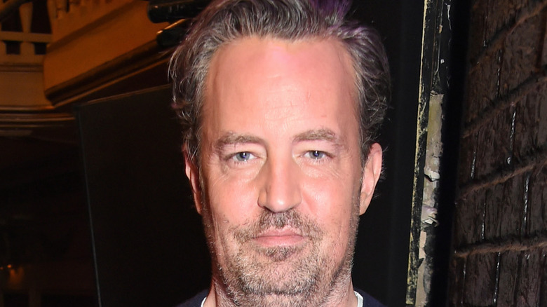 Matthew Perry poses for the camera. 