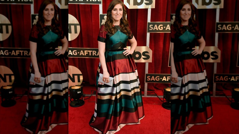 Mayim Bialik at 2017 SAG Awards