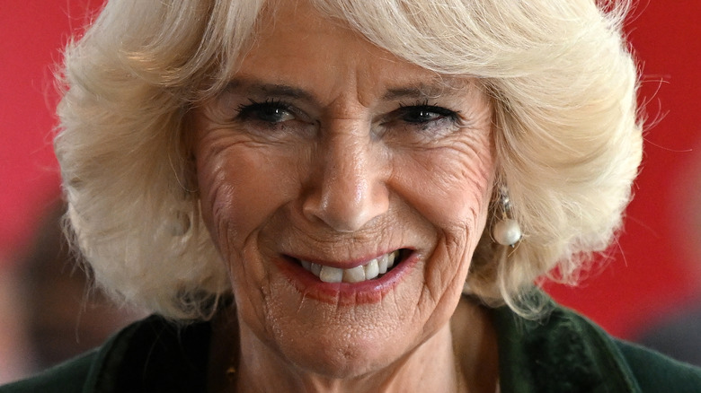 Camilla Parker Bowles smiling 